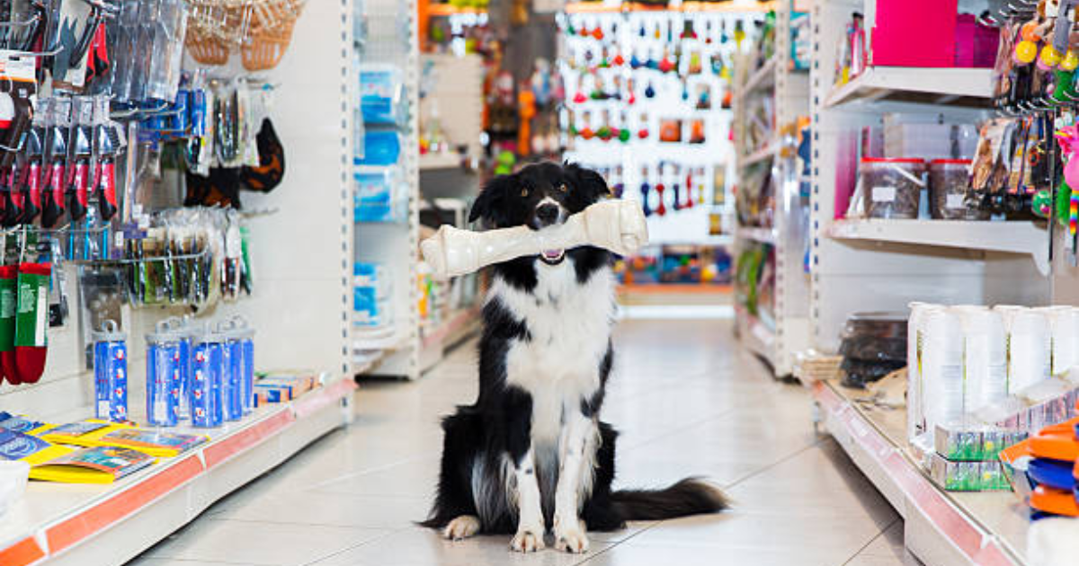 COMBO 2 DE 10 CURSOS SCHOOL PET SHOP